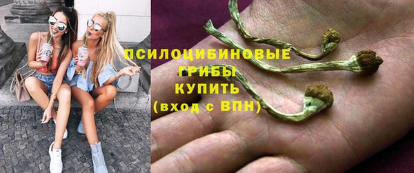 трава Армянск