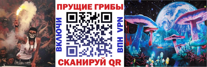 kraken ONION Малмыж Галлюциногенные грибы Magic Shrooms